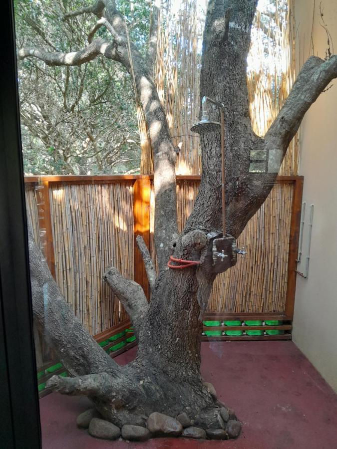 Kosi Bay Casitas Villa Manguzi Eksteriør billede
